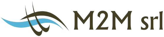 Logo M2M